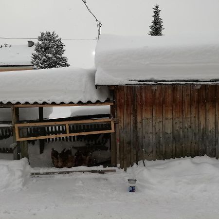 Haus Gell Hotell Mauterndorf  Exteriör bild