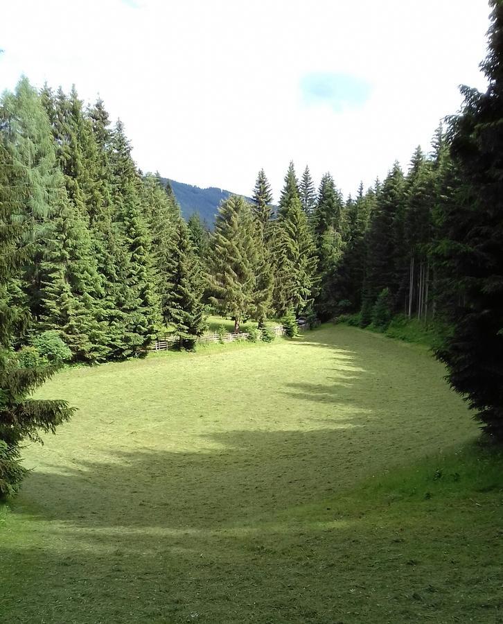 Haus Gell Hotell Mauterndorf  Exteriör bild